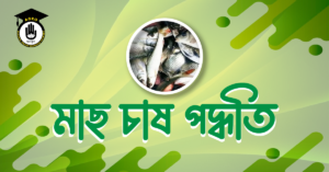 মৎস্য চাষের গুরুত্ব 3 মাছ চাষ পদ্ধতি