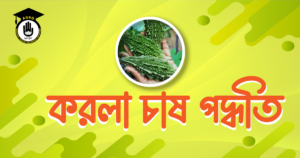 করলা চাষ পদ্ধতি
