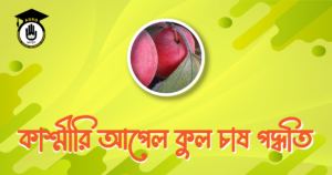 কাশ্মীরি আপেল কুল চাষ পদ্ধতি