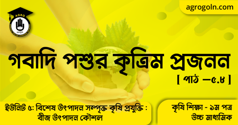 গবাদি পশুর কৃত্রিম প্রজনন