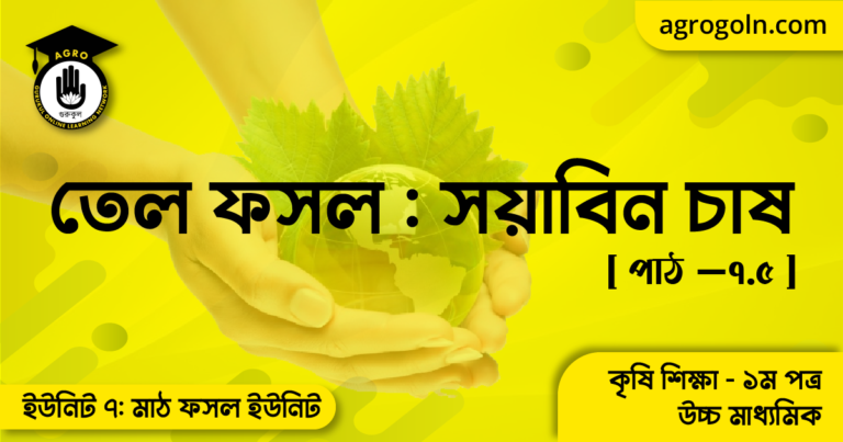 তেল ফসল সয়াবিন চাষ