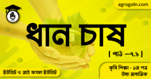 ধান চাষ