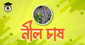 নীল চাষ নীল চাষ