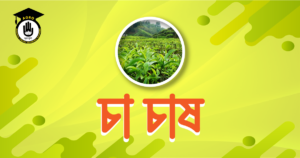 পশ্চিমবঙ্গে চা চাষ হয় পশ্চিমবঙ্গে চা চাষ হয়