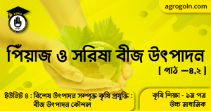পিঁয়াজ ও সরিষার বীজ উৎপাদন কৌশল 4 পিঁয়াজ ও সরিষা বীজ উৎপাদন