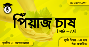 পিঁয়াজ চাষ