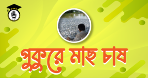 পুকুরে মাছ চাষ পুকুরে মাছ চাষ