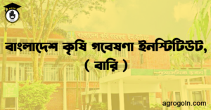 বাংলাদেশ কৃষি গবেষণা ইনস্টিটিউট বারি বাংলাদেশ কৃষি গবেষণা ইনস্টিটিউট, বারি