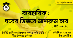 ব্যবহারিক ঘরের ভিতরে মাশরুম চাষ ব্যবহারিক ঘরের ভিতরে মাশরুম চাষ