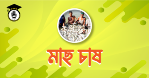 মাছ চাষ মাছ চাষ