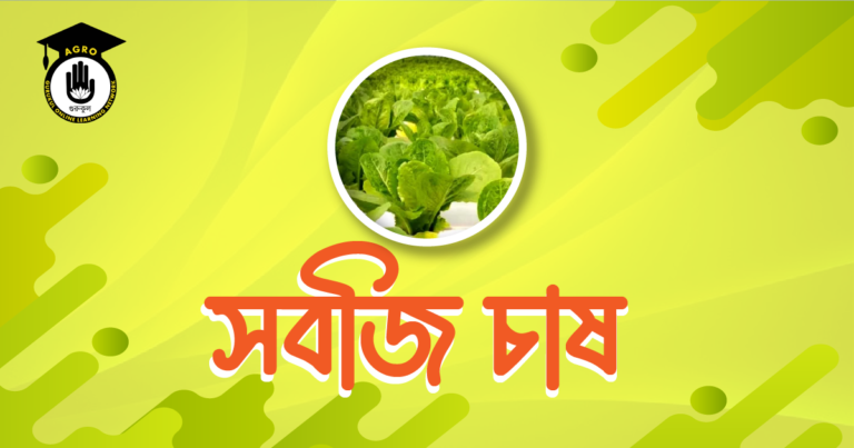 সবজি চাষ