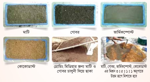 আদর্শ গ্রোয়িং মিডিয়ার উদাহরণ