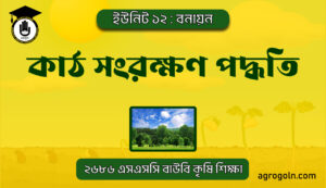 কাঠ সংরক্ষণ পদ্ধতি কাঠ সংরক্ষণ পদ্ধতি