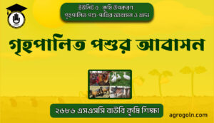 গৃহপালিত পশুর আবাসন 1 গৃহপালিত পশুর আবাসন