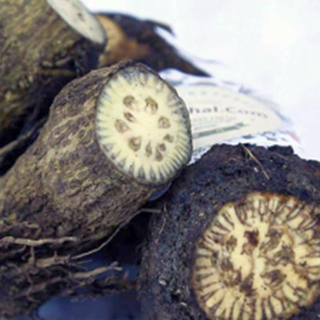 চুই ঝাল