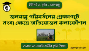 জলবায়ু পরিবর্তনের প্রেক্ষাপটে মৎস্য ক্ষেত্রে অভিযোজন কলাকৌশল