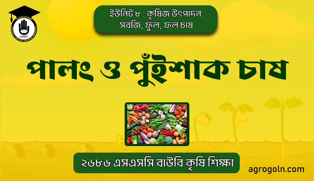 পালং ও পুঁইশাক চাষ