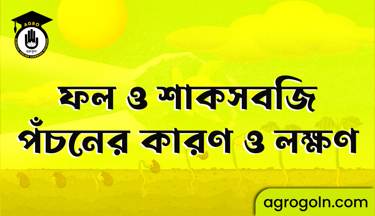 ফল ও শাকসবজি পঁচনের কারণ ও লক্ষণ