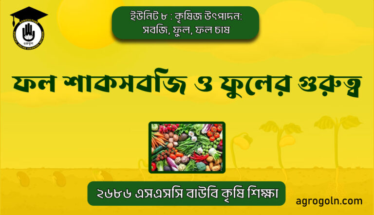 ফল শাকসবজি ও ফুলের গুরুত্ব