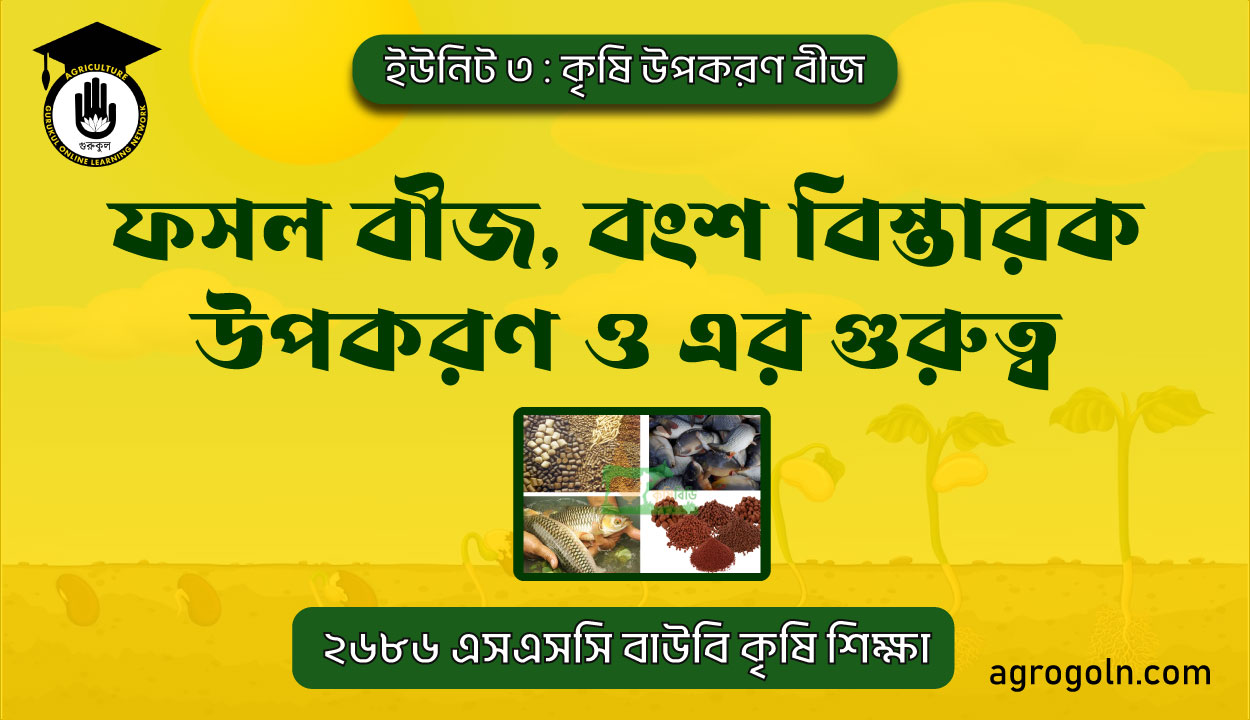 ফসল বীজ ও বংশ বিস্তারক উপরকণ উৎপাদনের ধাপসমূহ