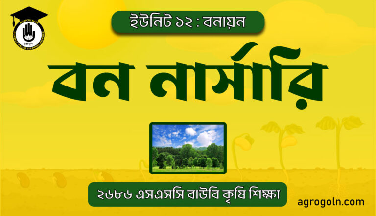 বন নার্সারি