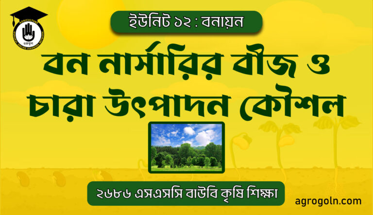 বন নার্সারির বীজ ও চারা উৎপাদন কৌশল
