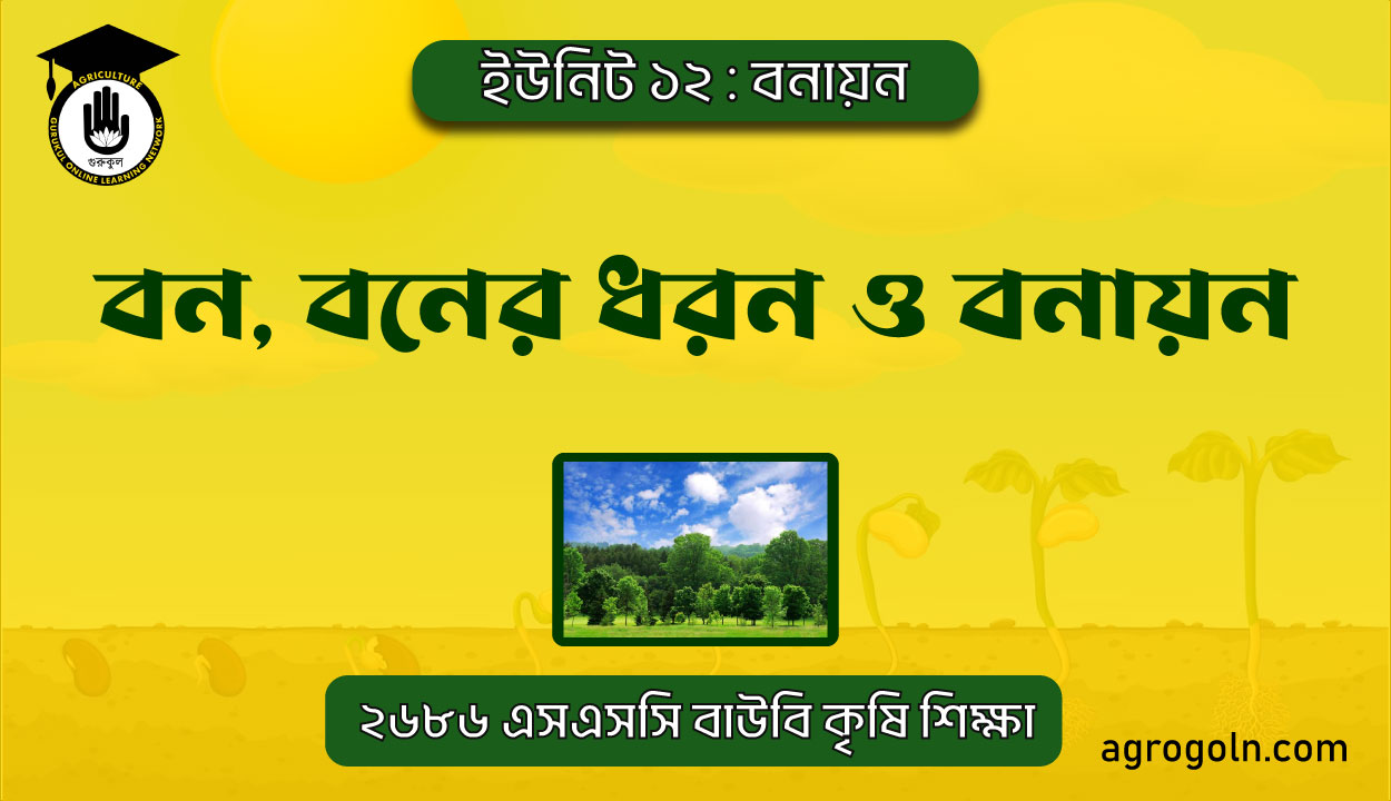 বন, বনের ধরন ও বনায়ন 1 বন, বনের ধরন ও বনায়ন