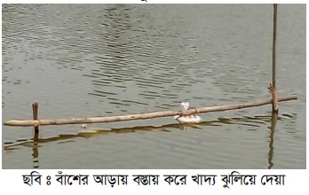 বাঁশের আড়ায় বস্তায় করে খাদ্য ঝুলিয়ে দেয়া
