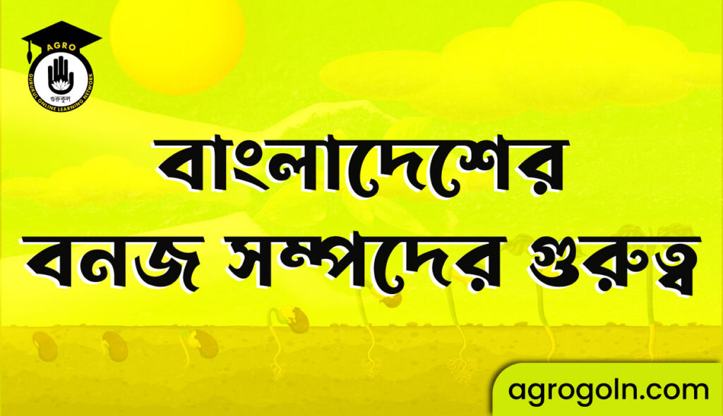 বাংলাদেশের বনজ সম্পদের গুরুত্ব 8 বাংলাদেশের বনজ সম্পদের গুরুত্ব