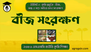 বীজ সংরক্ষণ
