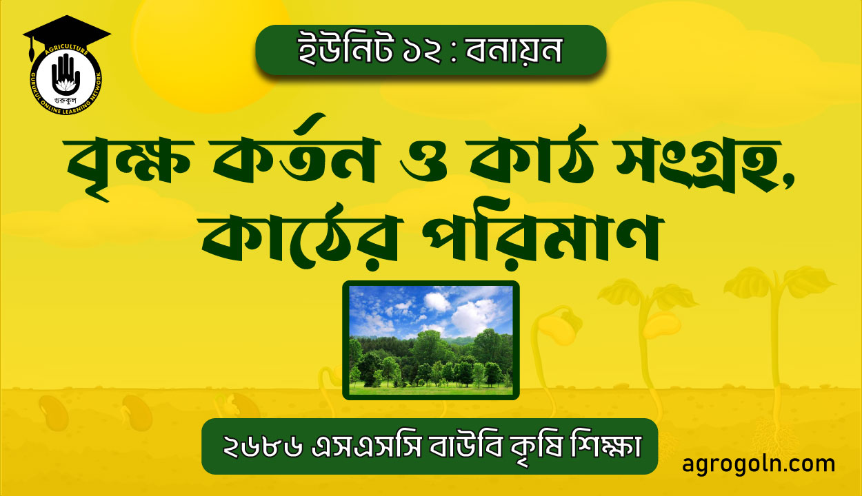 বৃক্ষ কর্তন ও কাঠ সংগ্রহ, কাঠের পরিমাণ