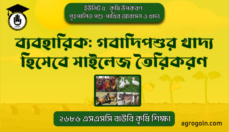 ব্যবহারিক: গবাদিপশুর খাদ্য হিসেবে সাইলেজ তৈরিকরণ