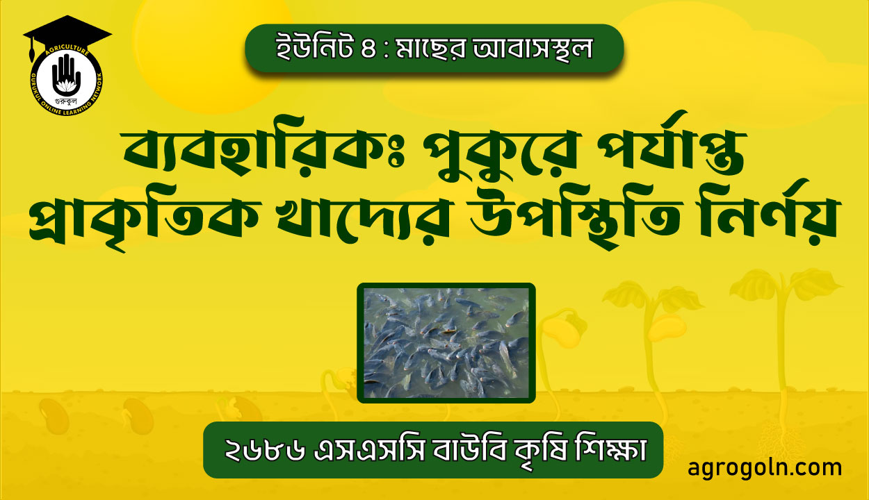 ব্যবহারিকঃ পুকুরে পর্যাপ্ত প্রাকৃতিক খাদ্যের উপস্থিতি নির্ণয়