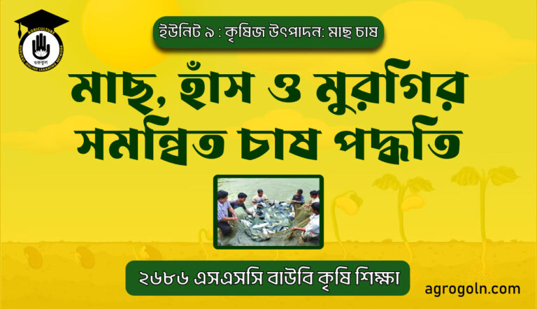 মাছ, হাঁস ও মুরগির সমন্বিত চাষ পদ্ধতি