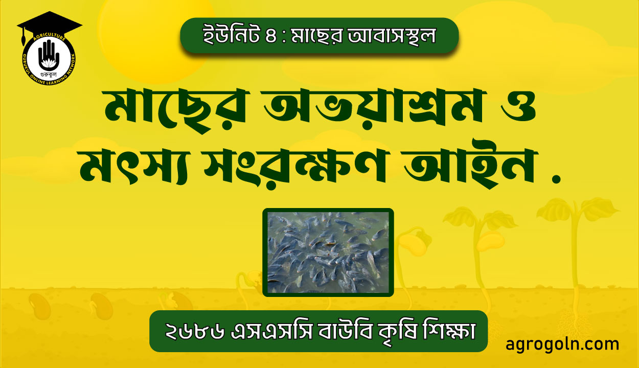 মাছের অভয়াশ্রম ও মৎস্য সংরক্ষণ আইন 1 মাছের অভয়াশ্রম ও মৎস্য সংরক্ষণ আইন