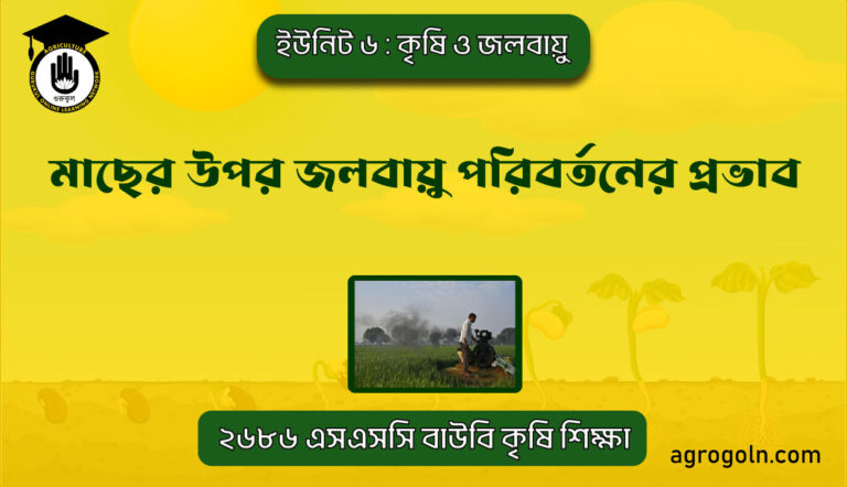 মাছের উপর জলবায়ু পরিবর্তনের প্রভাব