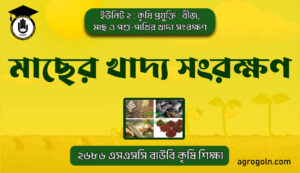 মাছের খাদ্য সংরক্ষণ 