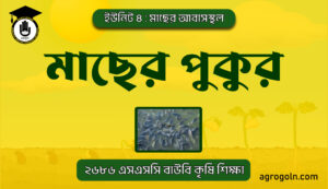 মাছের পুকুর