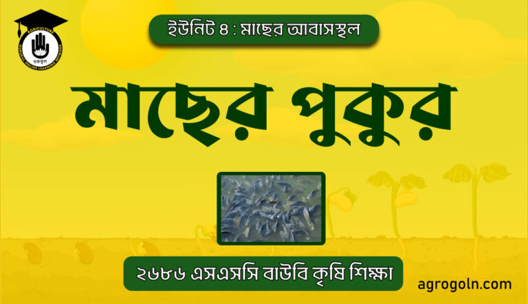 মাছের পুকুর