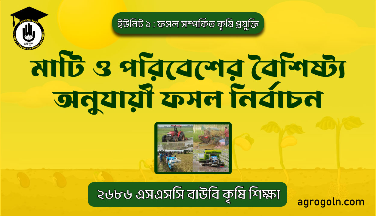 মাটি ও পরিবেশের বৈশিষ্ট্য অনুযায়ী ফসল নির্বাচন