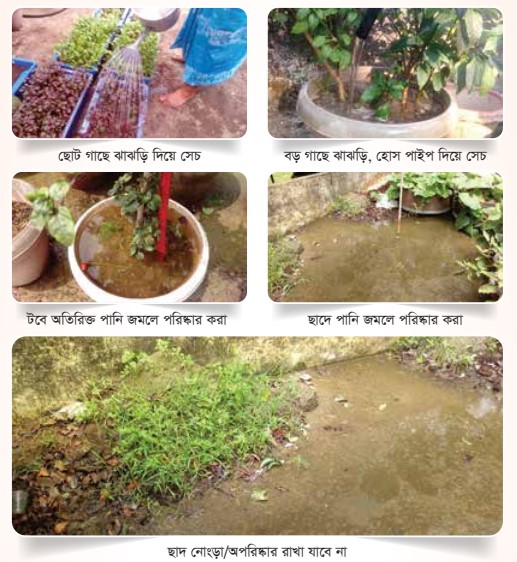 সেচ ও নিষ্কাশন ব্যবস্থা