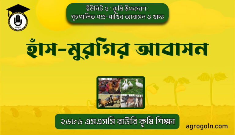 হাঁস-মুরগির আবাসন