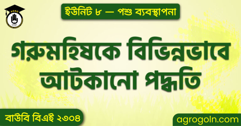  গরুমহিষকে বিভিন্নভাবে আটকানো পদ্ধতি