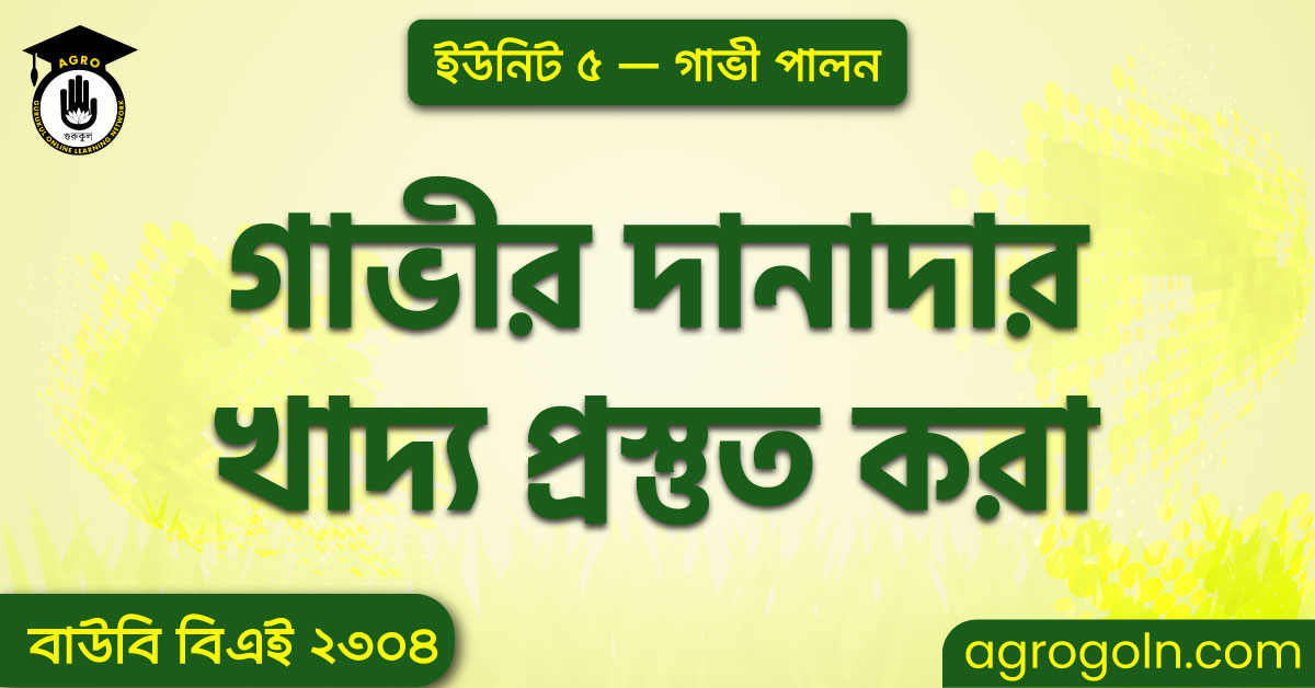 গাভীর দানাদার খাদ্য প্রস্তুত করা