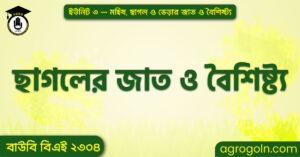 ছাগলের জাত ও বৈশিষ্ট্য