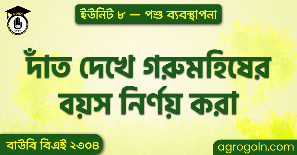 দাঁত দেখে গরুমহিষের বয়স নির্ণয় করা 1 দাঁত দেখে গরুমহিষের বয়স নির্ণয় করা