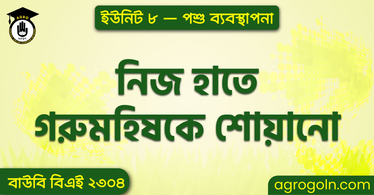 নিজ হাতে গরু-মহিষকে শোয়ানো — ব্যবহারিক পাঠ 1 নিজ হাতে গরুমহিষকে শোয়ানো