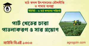 পাট খেতের চারা পাতলাকরণ ও সার প্রয়োগ