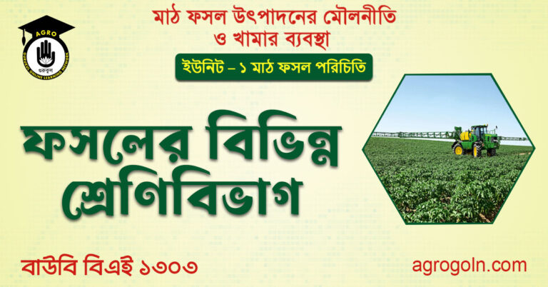ফসলের বিভিন্ন শ্রেণিবিভাগ