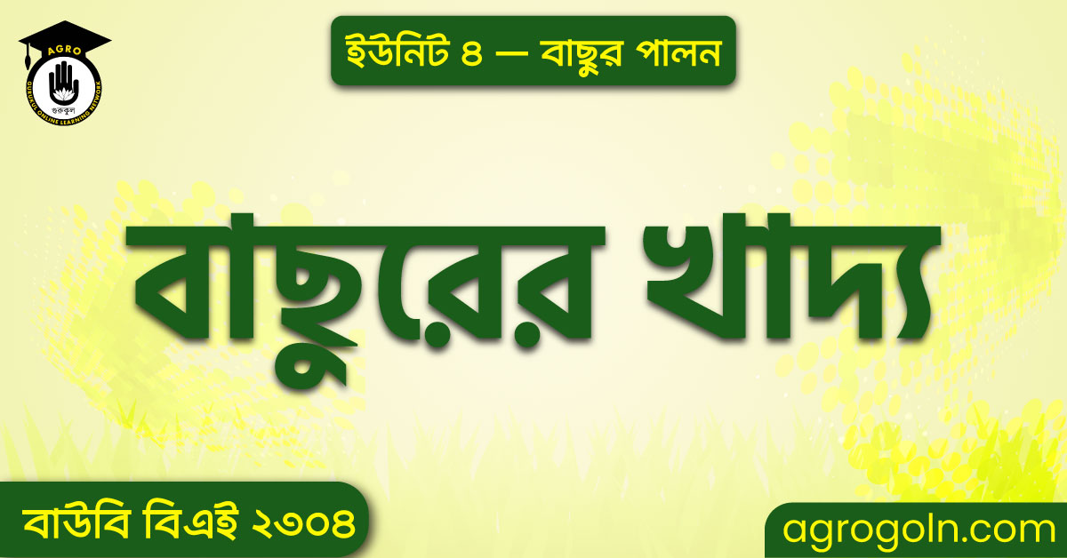 বাছুরের খাদ্য